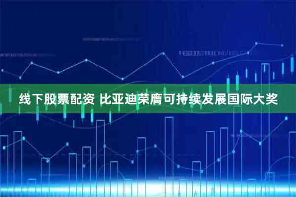 线下股票配资 比亚迪荣膺可持续发展国际大奖